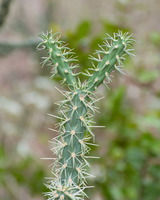 033