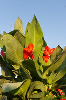 080