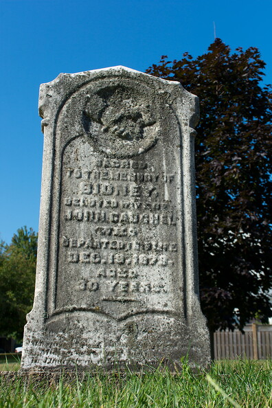 117.jpg