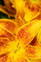 018