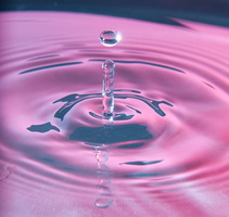 013