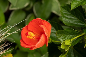 019