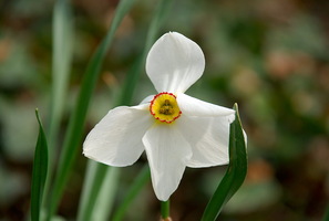 022