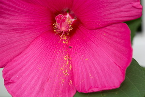038