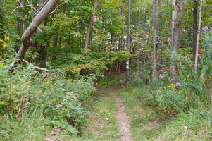 Camping on the Appalachian Trail