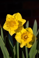 023