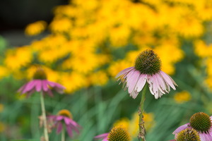 019