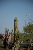 085