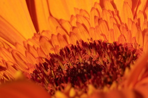 038
