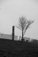  Z620556