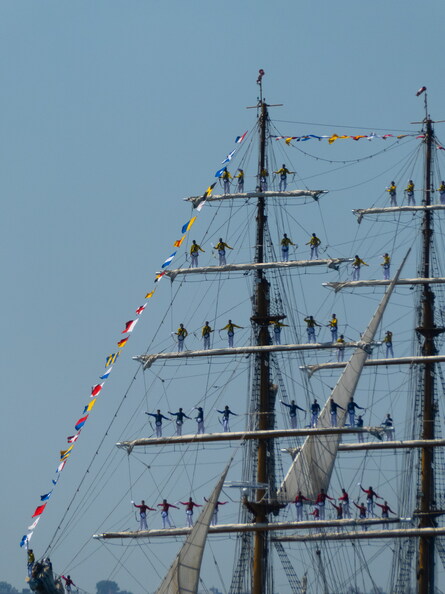 PANA0623.jpg