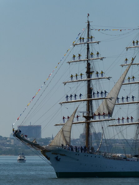 PANA0629.jpg
