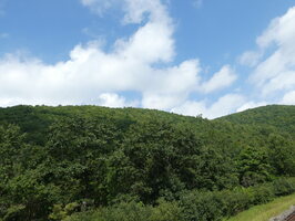 PANA0885